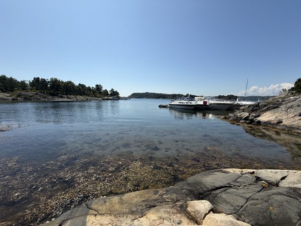 Klart sjøvann ved svabergene