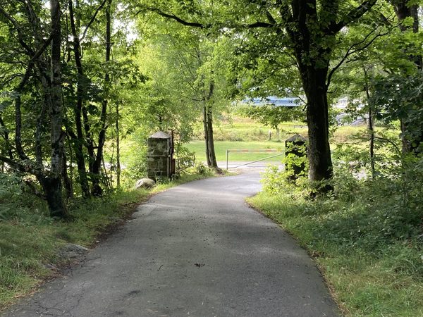 Vei gjennom løvskogen